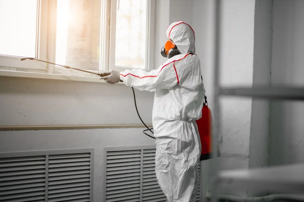 Professional mold remediation services in Demarest, NJ